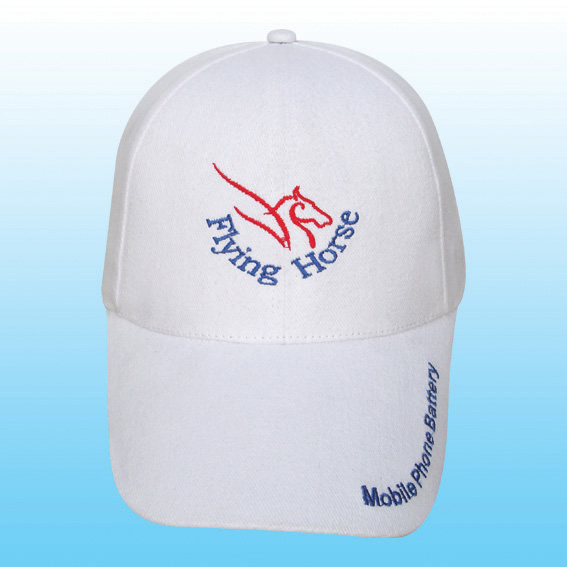 产品名称：广告帽
产品型号：广告帽
产品规格：广告帽